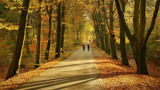 Ritucharya: A Guide to Monsoon Wellness