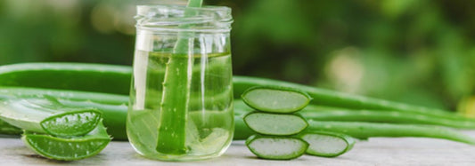 The Miracle Of Aloe Vera