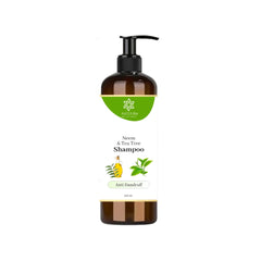 Aloe Vera for Scalp Health Aloe Vera for Scalp Health