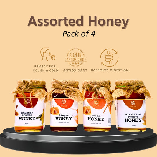 Nature's Ambrosia Honey: Pure Golden Elixir - Pack of 4