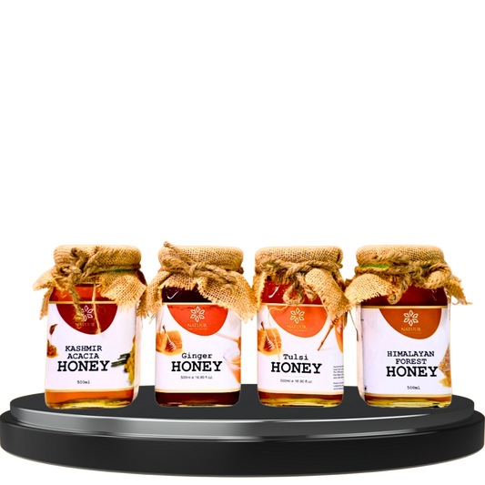 Nature's Ambrosia Honey: Pure Golden Elixir - Pack of 4