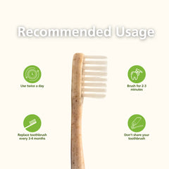 Natuur Daito Tooth Brush - Y HUSK (Made in Japan) Natuur Daito Tooth Brush - Y HUSK (Made in Japan)