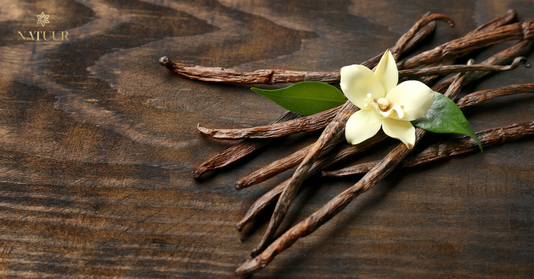 Vanilla: India’s Most Loved Aroma