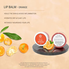 NATUUR - Lip Balm - Pack of 5 (15gm Each)| Moisturizing and Nourishing Lip Care | For Soft and Smooth Lips | Effective for Dry Lips | Prepared with natural plant butters - shea and cocoa