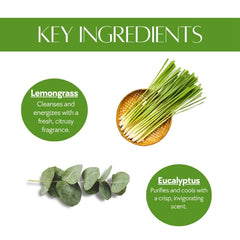 Hand sanitizer gel  Lemongrass and eucalyptus