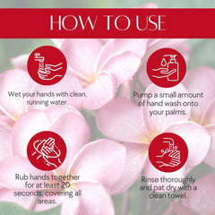 Natuur Liquid Hand Wash with Goodness of Aloe, Frangipani and Rose  1 litre