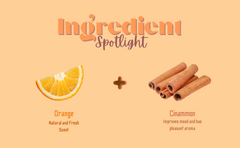 Air Freshener (Orange & Cinnamon) Spice