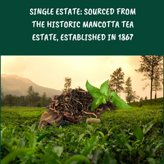 Pure single estate assam tea leaves - orthodox clonal tea with golden tips - leaf grade