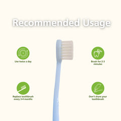 Natuur Daito Tooth Brush - Honeybee (Made in Japan )