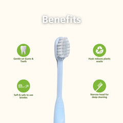Natuur Daito Tooth Brush - Honeybee (Made in Japan )