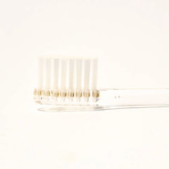 Natuur - Daito Tooth Brush -  CLAIRE  value pack  (Made in Japan), T, Transparent