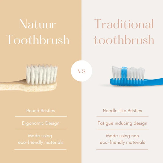 Natuur - Daito Tooth Brush -   Y HUSK  value pack (Made in Japan), T, Transparent