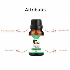 Natuur eucalyptus essential oil