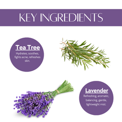 Natuur Tea Tree & Lavender Facial Mist