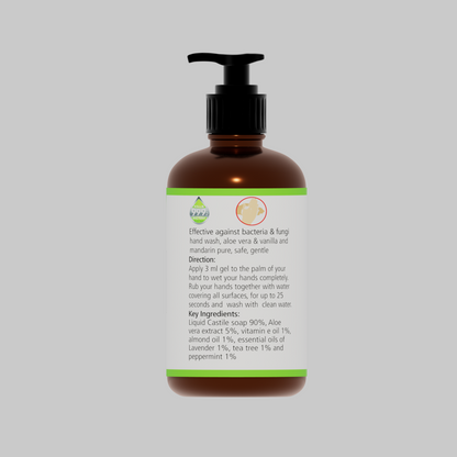 Hand Wash - Anti Bacterial ( Lavender & Peppermint ) - Natuur.in