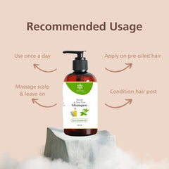 Natural Anti-Dandruff Shampoo