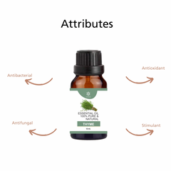 Natuur Thyme Essential Oil 10 ml Therapeutic Grade