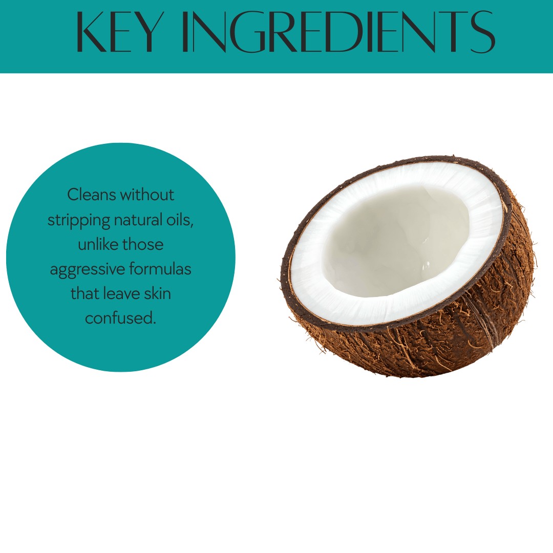 Natuur.in clarifying cleanser key ingredients graphic featuring a fresh coconut half and gentle cleansing benefits
