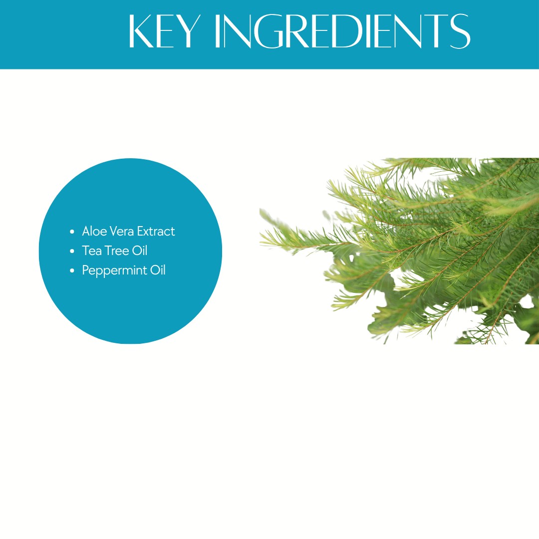 Natuur.in EDGE shaving cream key ingredients list featuring aloe vera, tea tree oil, and peppermint oil