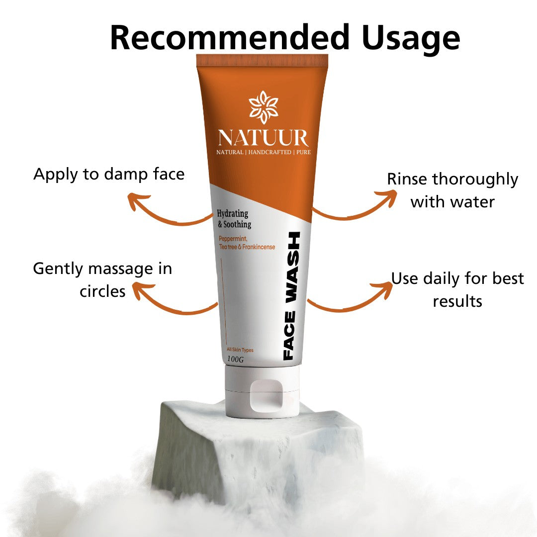 Natuur.in tea tree face wash tube with usage instructions on a stone pedestal against a white background
